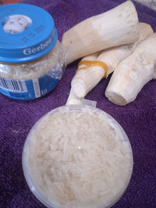 Лечебные растения