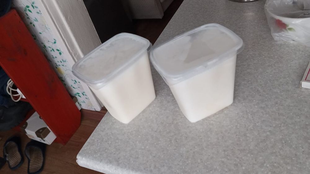 Продам гусиный топленый жир