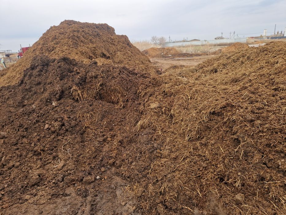 Свежий конский навоз перегной