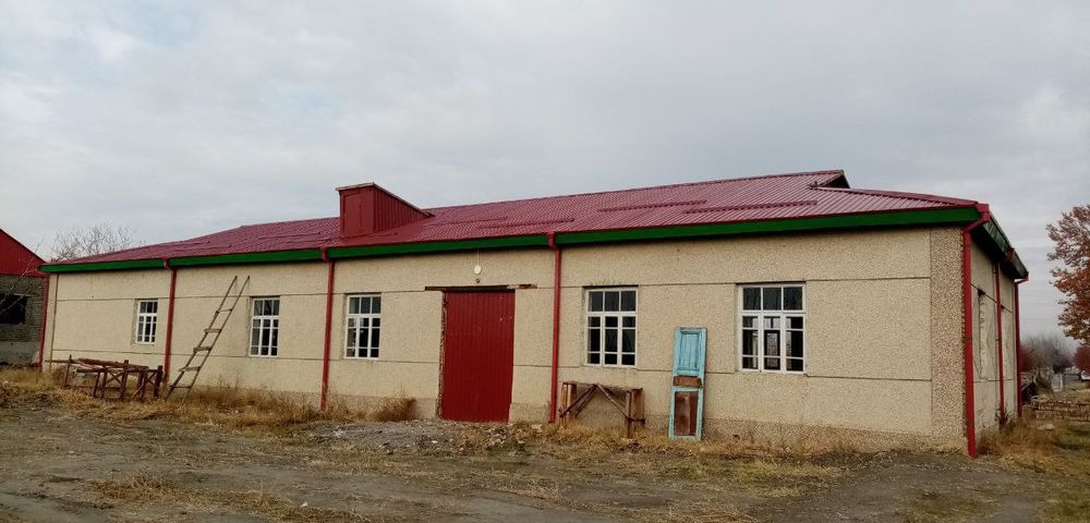 Нотурар бинолар сотилади. Хохловчилар бўлса алохида ҳам сотилади