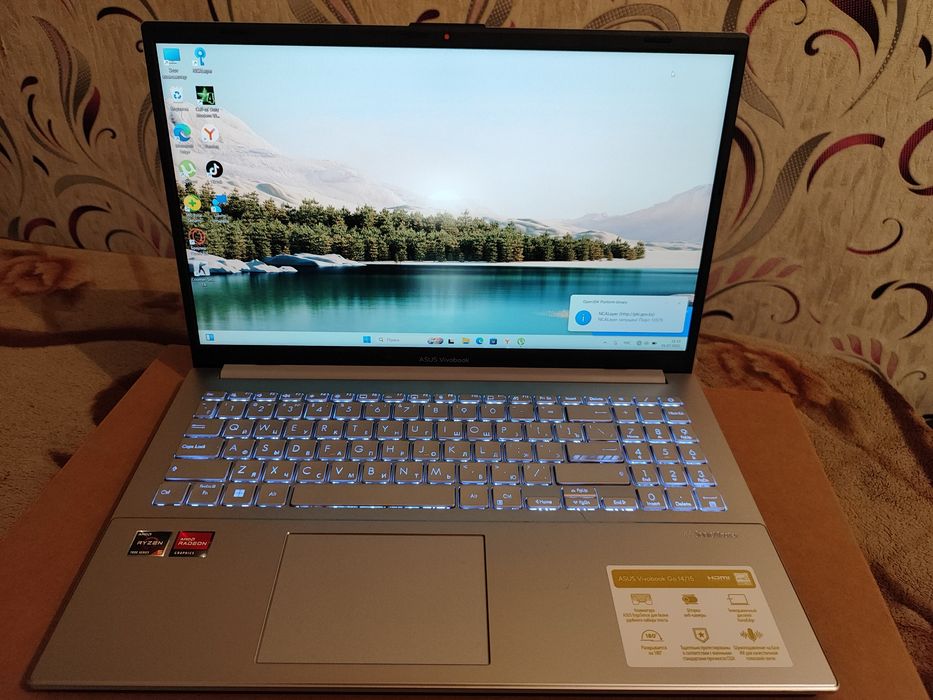 Asus Vivobook Go 14/15
