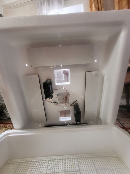 Несушка для циплят