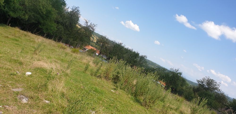 VAND/SCHIMB teren intravilan in com. Ezeris, Jud. Caras-Severin