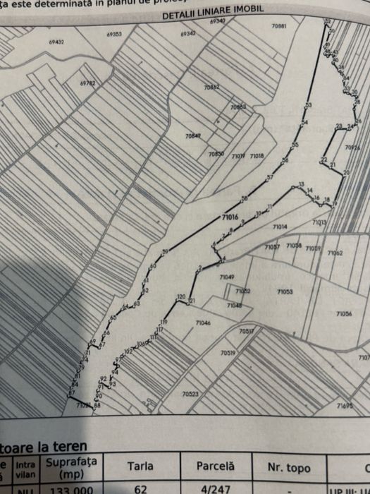 Vand   sau  schimb cu auto , 13 ,3 hectare teren cu vegetatie forestiera