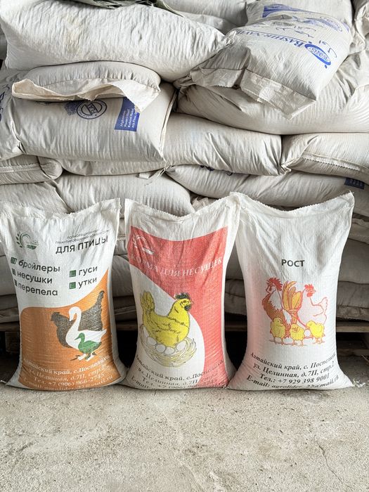 Рост для всех видов