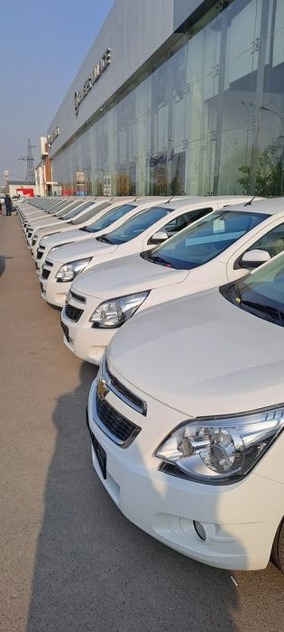 Коблт стайл автамат фулл