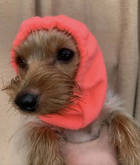 Шапка для собак, розовая теплая