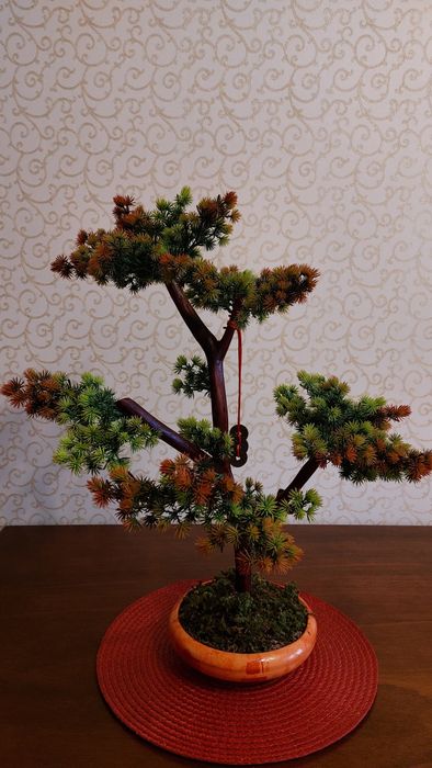 Бонсай авторская работа