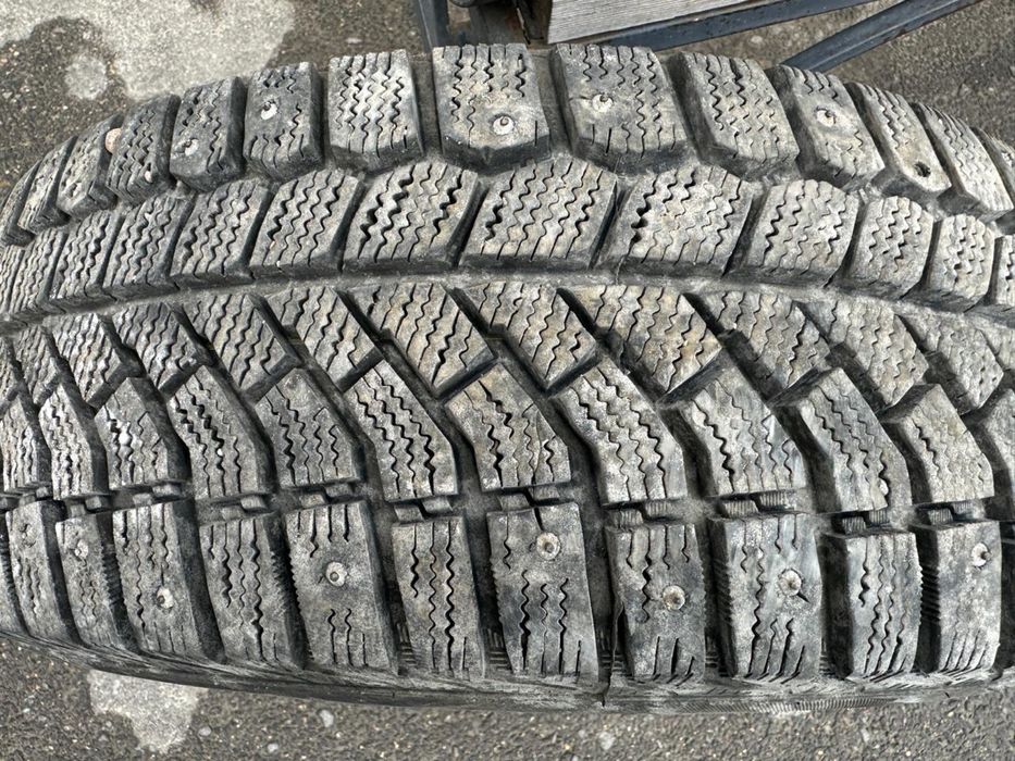 Шиный шиповоный