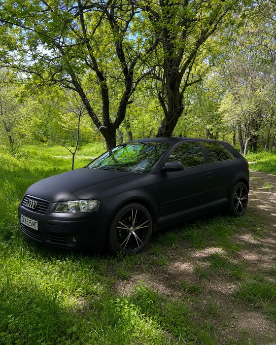 Audi A3 8p 2.0TDI