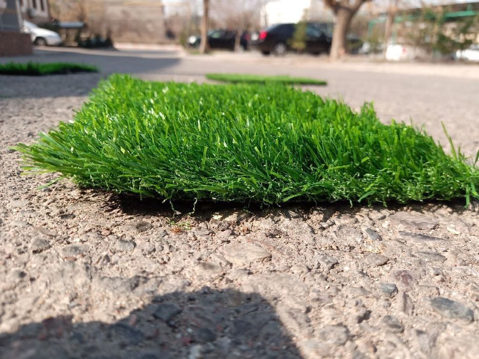 Lanshafd pro oz xizmatlarini taklif qiladi