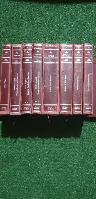 Carti adevarul de lux - coperta piele