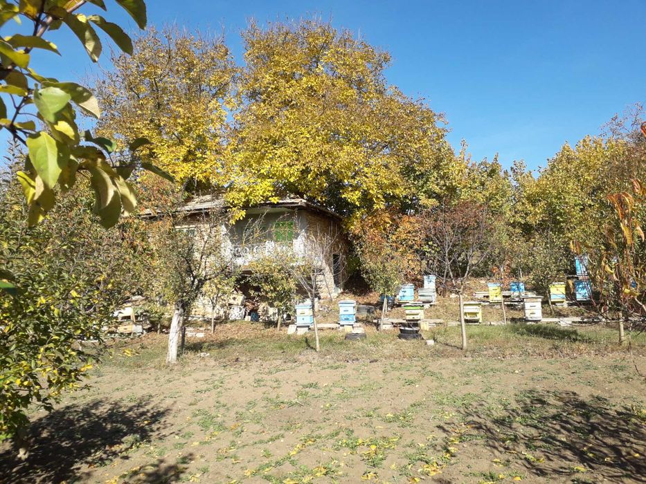 Продавам място с площ 730м2 с масивна вила в м-та Ямата на гр.Попово