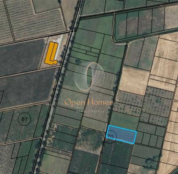 Йоаким груево земелска земя