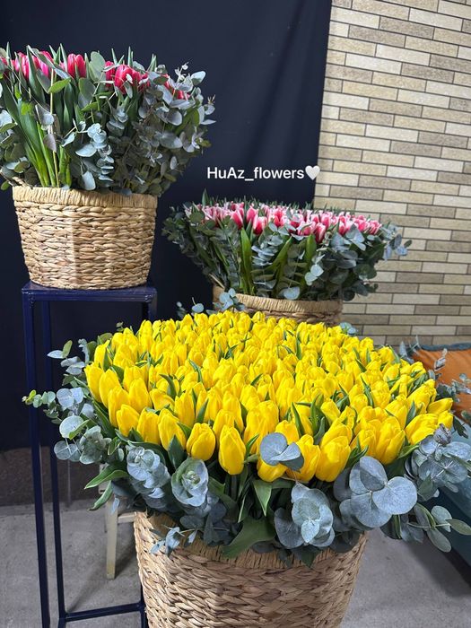 Optom Gullar lola gartenza atirgullar bor