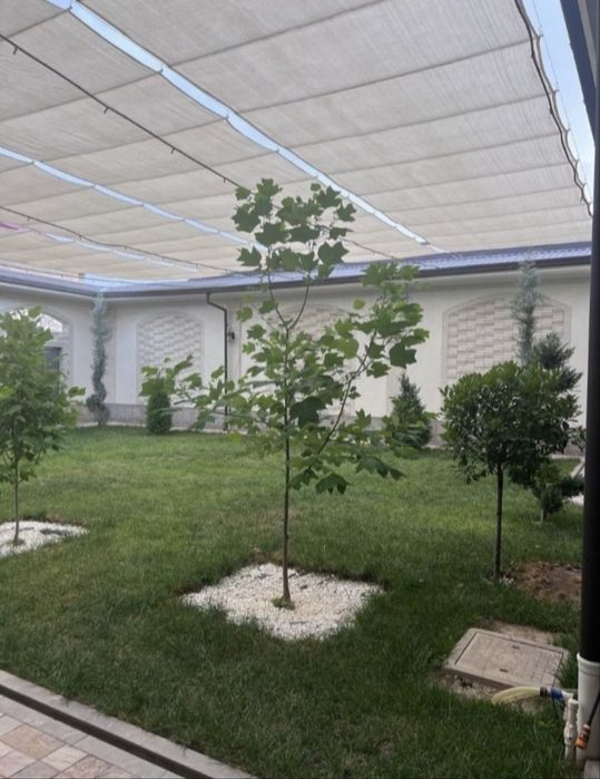 Mikroklimat va setka hizmati