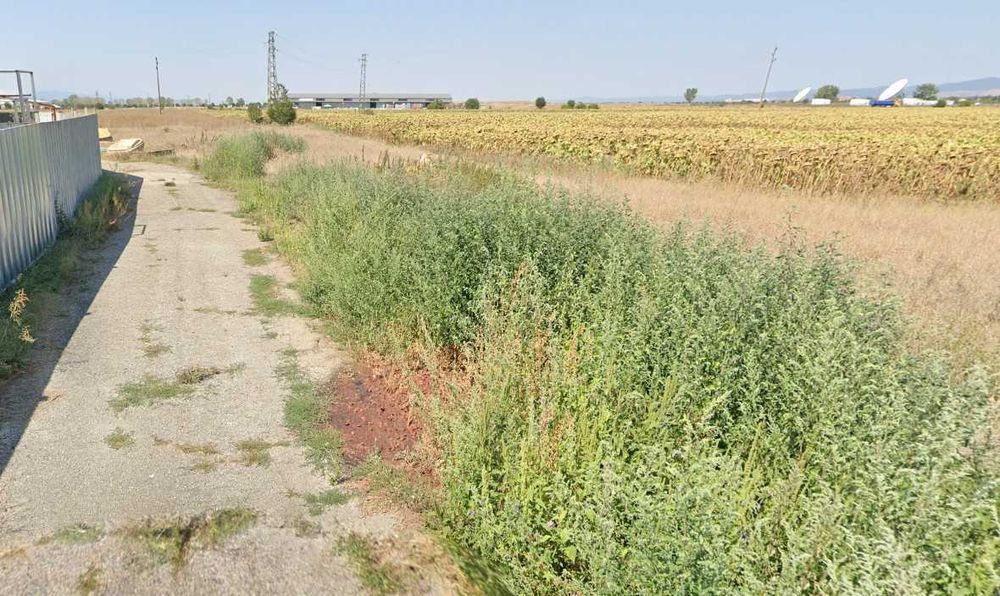 Продава се Парцел в Елин Пелин - 4520 кв.м за 70 €/кв.м - Снимка #3