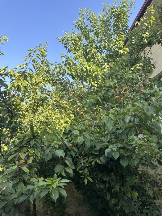 Продаю свой участок  (20х30) на против парка Янги Узбекисна 300 метров