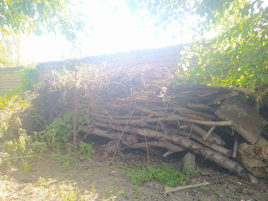 Утин сотилади! Otin bor sotiladi