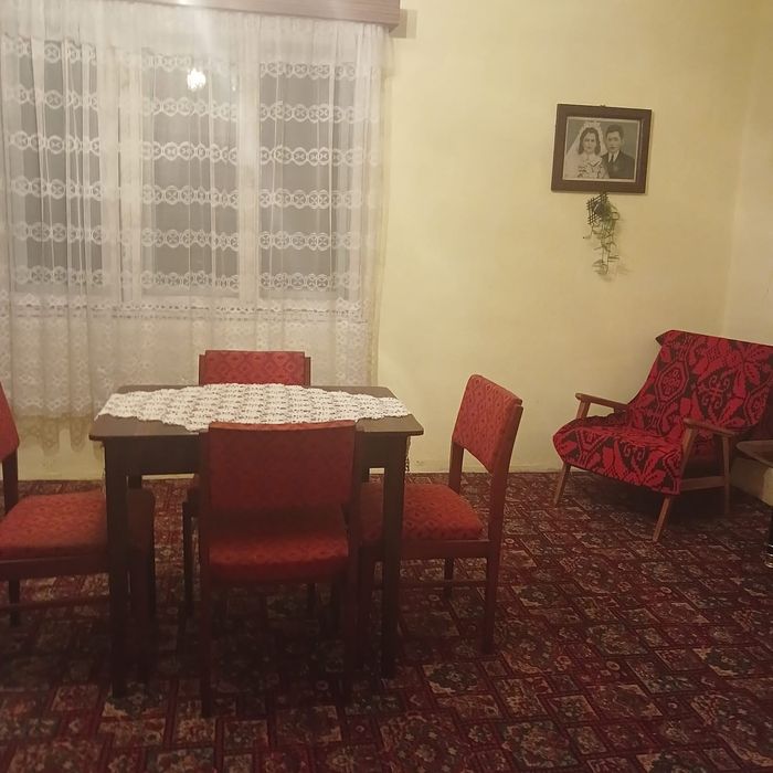 Casă de vânzare curte cu vie.