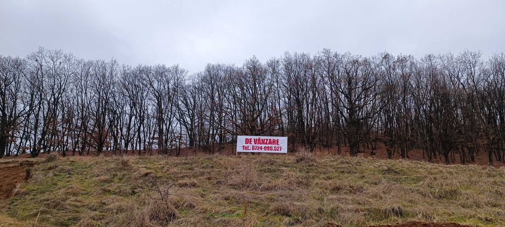 Teren Intravilan Strada Dedradului