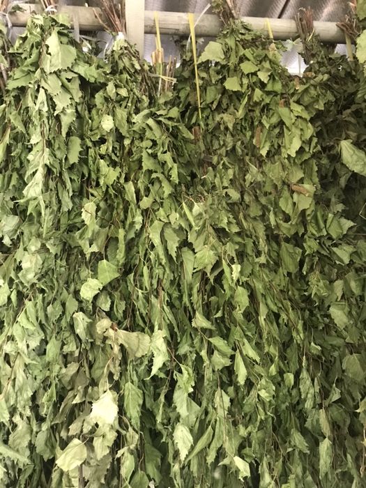 Веники- Дубовые, березовые и липовые; эфирные масла для бани и сауны