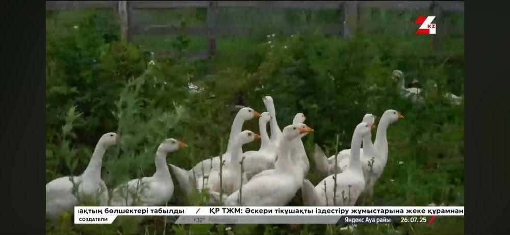 Продам дом удобно для ваедения собственного хозяйства