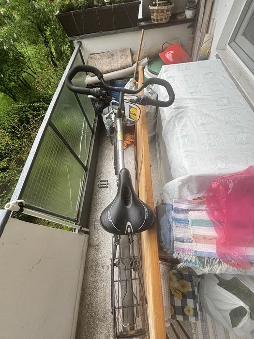 Bicicleta Alu-Rex cursiera