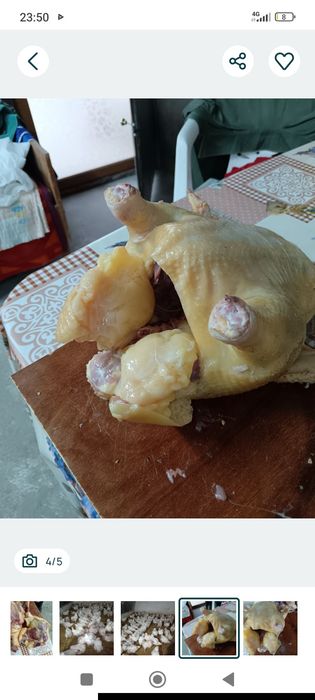 Gaini taiate de carne