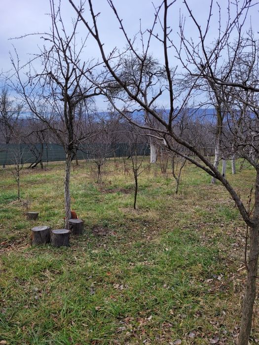 Vând casă într-o zonă superbă