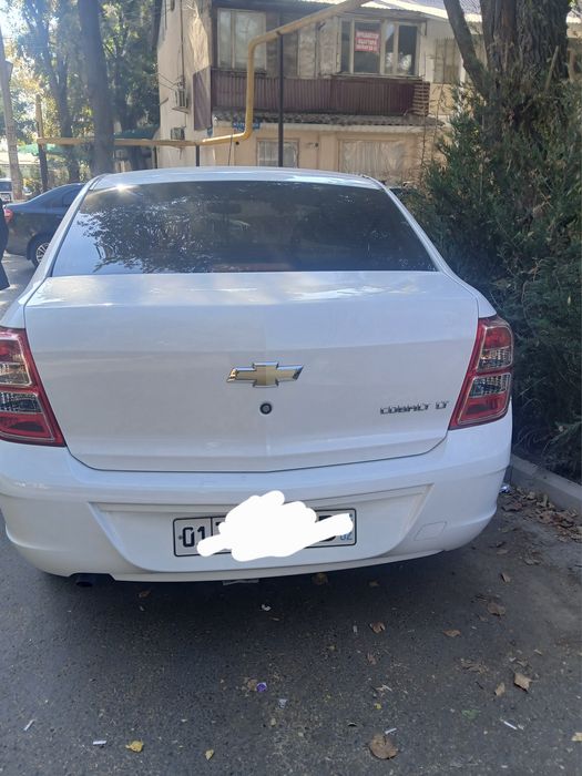 Other Cobalt 2018 — 3