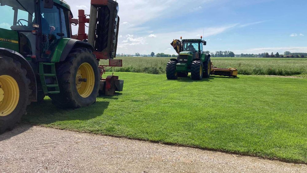 GAZON RULOU sport - Craiova