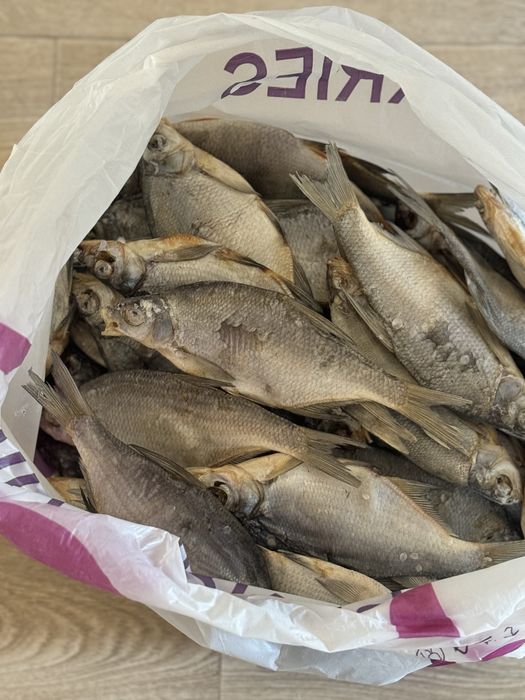 Подлещик рыба 4 кг