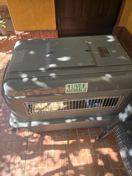 Cusca mare XL transport animale, buna pt avion