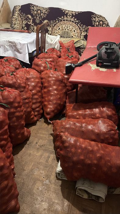 Продам картошку Гала