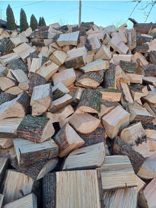 Lemn de foc stejat uscat 600 lei tona