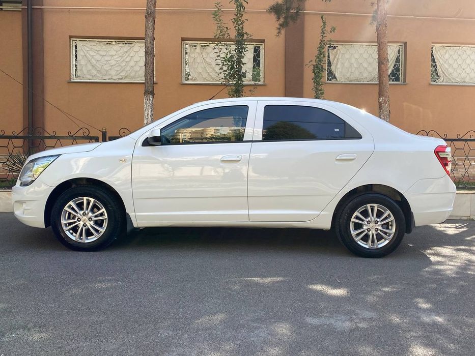 Kobalt 2023 avtomat arendaga beriladi