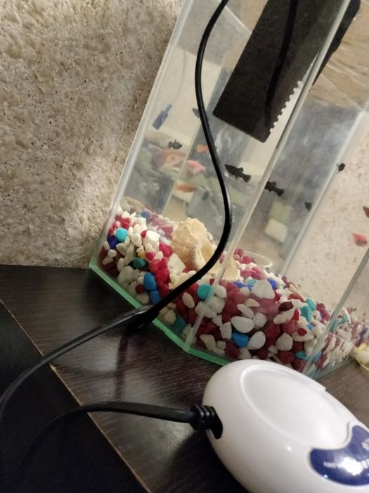 Продам аквариум 20л