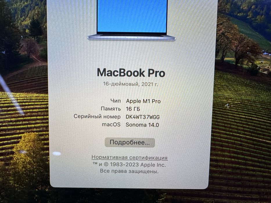 MacBook Pro 16 M1 Pro/16GB/SSD512GB/410(87%)