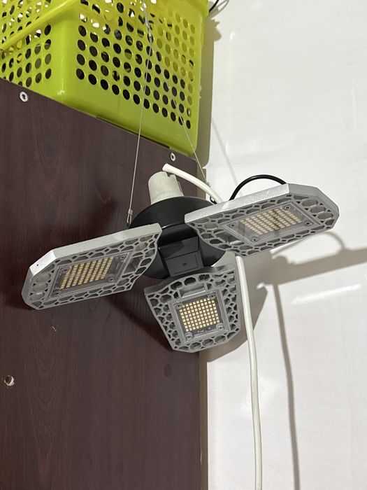 Фитолампа, светильник