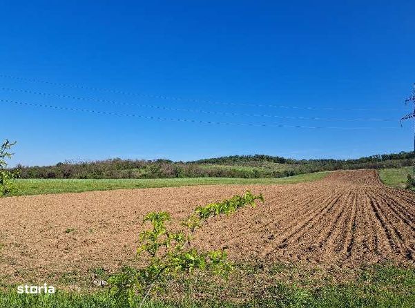 Cota de 1/2 din teren extravilan, comuna Rogova, Jud Mehedinti CP25499