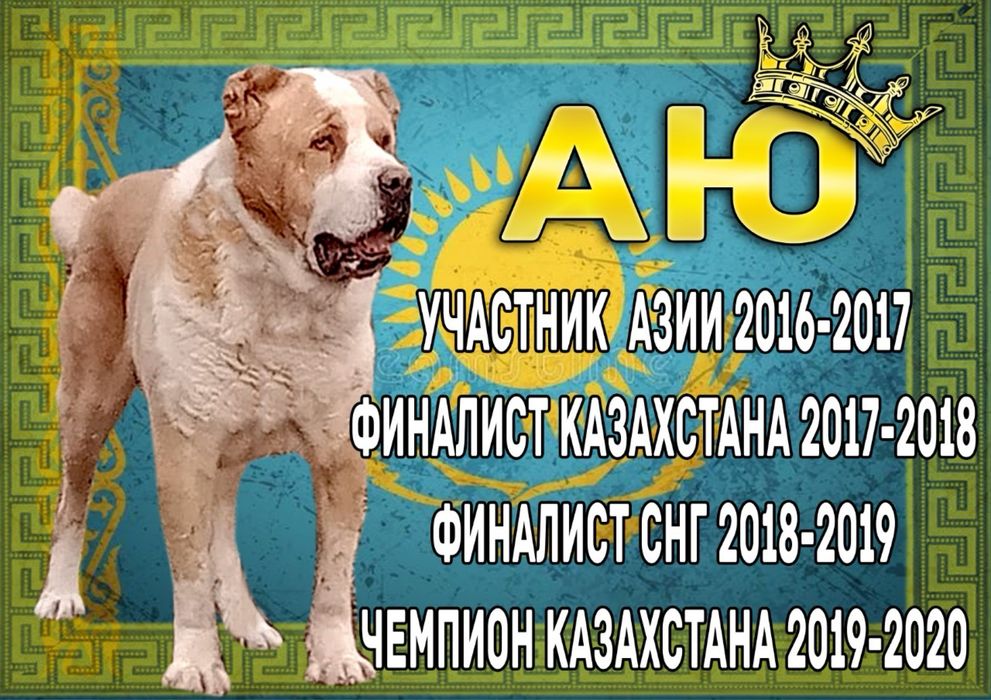В продаже Алабай