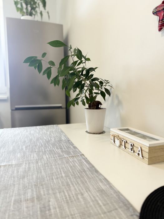 Propietar inchiriez studio Brasov