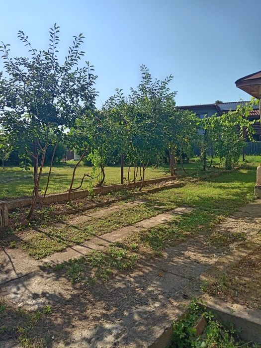 Casă batraneasca teren 700 mp