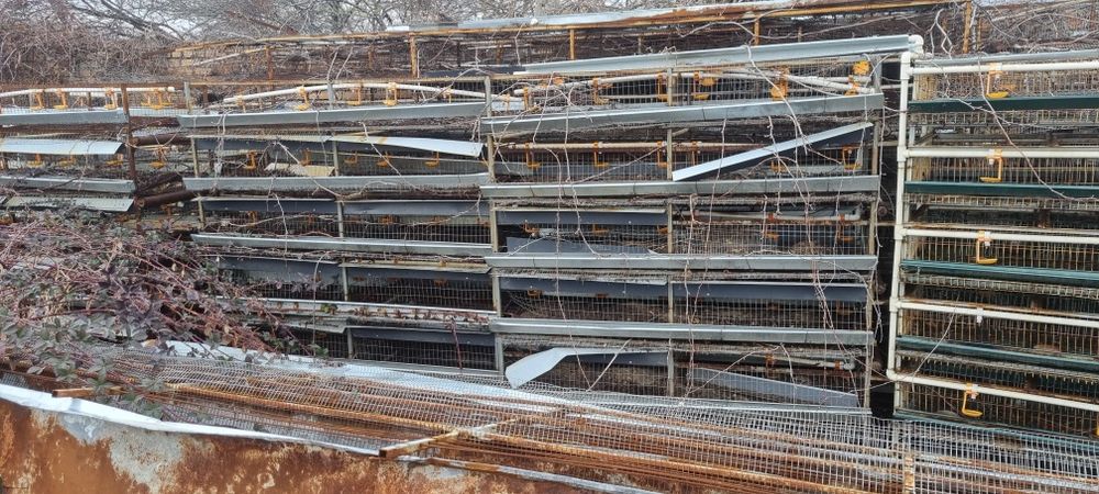 Бедана кафас Клетки для перепелов