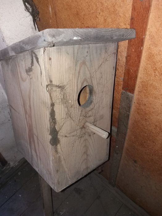 Скворечник Новый