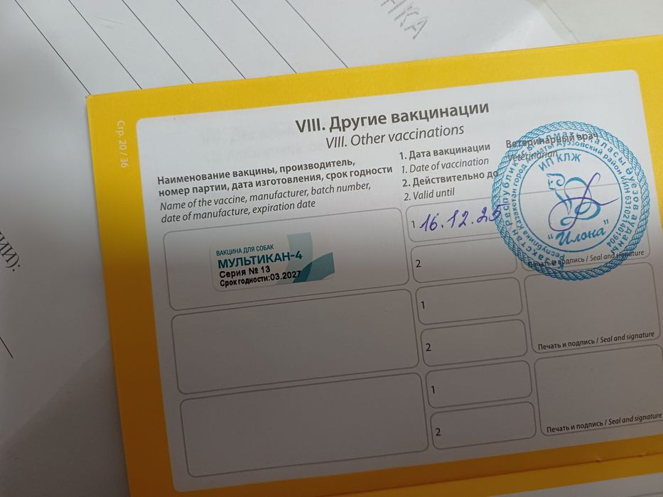 Продаётся щенок немецкого шпица