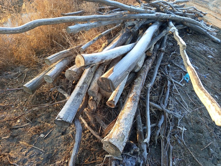 Terak arzon va kelishilgan narxda sotiladi