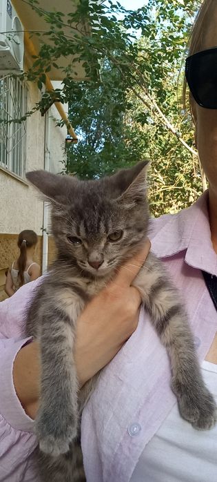 Отдам даром счастье