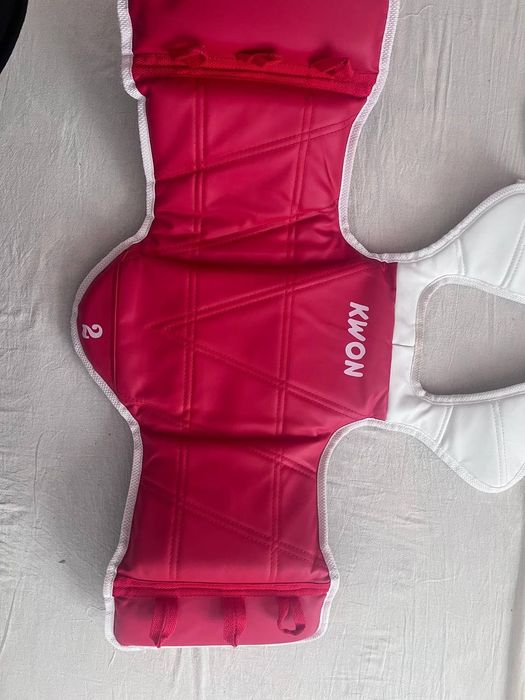 Тэхвондо протектор